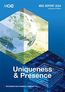 Photo: the front cover of MGC report(integrated report).
